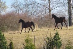 23022014_foto37