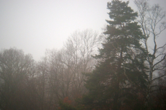 2018_01_28_2_ostra_zima_035