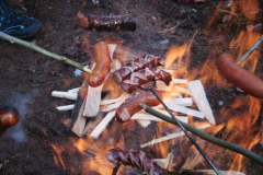 2018_02_17_4_ostra_zima_033