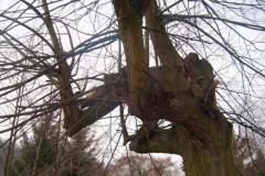 2018_02_17_4_ostra_zima_044