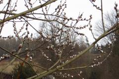 2018_02_17_4_ostra_zima_073