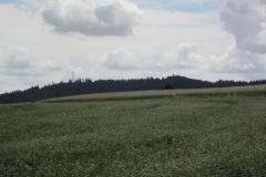 2018_07_08_jawornik_033