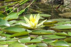 2018_07_29_malina_014