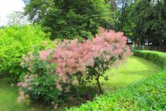 2018_07_29_malina_022