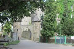 2018_07_29_malina_023