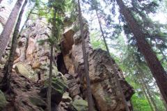 2018_07_29_malina_024