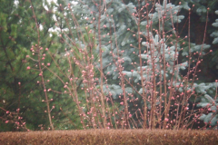 2018_09_08_pstrag_007