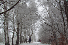 2020_01_25_w_poszukiwaniu_sniegu_cz3_015
