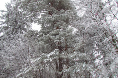2020_01_25_w_poszukiwaniu_sniegu_cz3_022