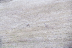 2020_02_1_w_poszukiwaniu_sniegu_cz4_006