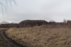 2020_02_29_skok_na_halde