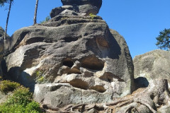 2020_08_1_Ostas_009