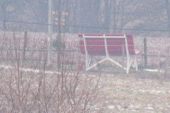 2022_01_08_i_spacer_zimowy_008