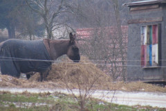 2022_01_08_i_spacer_zimowy_018