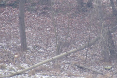 2022_01_08_i_spacer_zimowy_019