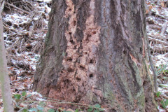 2022_01_08_i_spacer_zimowy_021