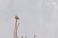 2022_01_08_i_spacer_zimowy_031