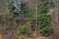 2022_04_09_wokol_jeziora_003