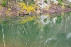 2022_04_09_wokol_jeziora_004