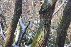 2022_04_09_wokol_jeziora_006