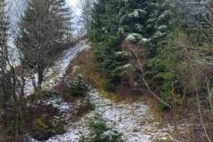 2022_04_09_wokol_jeziora_011