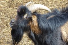 2022_04_09_wokol_jeziora_022