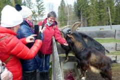 2022_04_09_wokol_jeziora_023