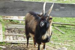 2022_04_09_wokol_jeziora_024