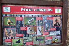 2022_04_09_wokol_jeziora_036