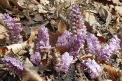 2022_04_09_wokol_jeziora_038