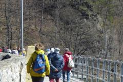 2022_04_09_wokol_jeziora_044