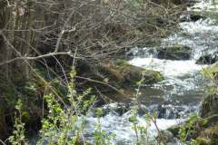 2022_04_09_wokol_jeziora_047