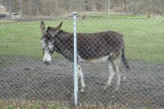 2022_04_09_wokol_jeziora_050