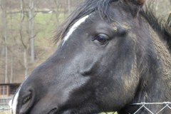 2022_04_09_wokol_jeziora_051