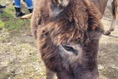 2022_04_09_wokol_jeziora_059