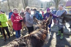 2022_04_09_wokol_jeziora_064