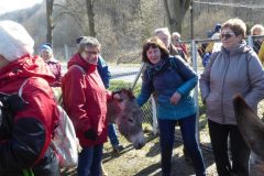 2022_04_09_wokol_jeziora_065