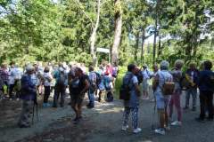 2022_07_02_sawanna_i_medytacje_001