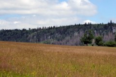 2022_07_02_sawanna_i_medytacje_013