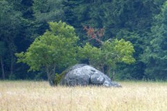 2022_07_02_sawanna_i_medytacje_021