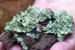 2022_07_02_sawanna_i_medytacje_032