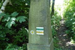 2022_07_02_sawanna_i_medytacje_036