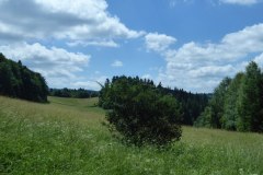2022_07_02_sawanna_i_medytacje_037