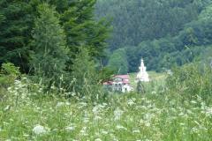 2022_07_02_sawanna_i_medytacje_039