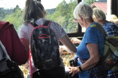 2022_07_02_sawanna_i_medytacje_055