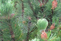 2022_08_13_karkononoskie_wodospady_102