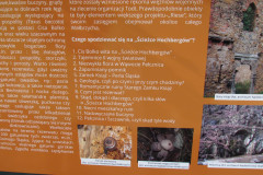 2022_10_08_ruiny_zamku_ksiaz_023