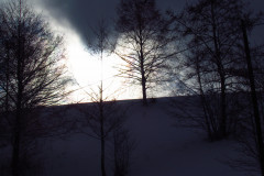 2022_01_12_mrozone_jawory_012