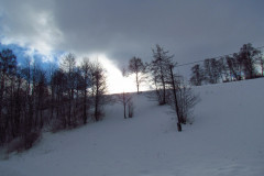 2022_01_12_mrozone_jawory_013