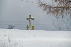2022_01_12_mrozone_jawory_014
